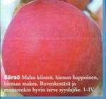 Kuva 2